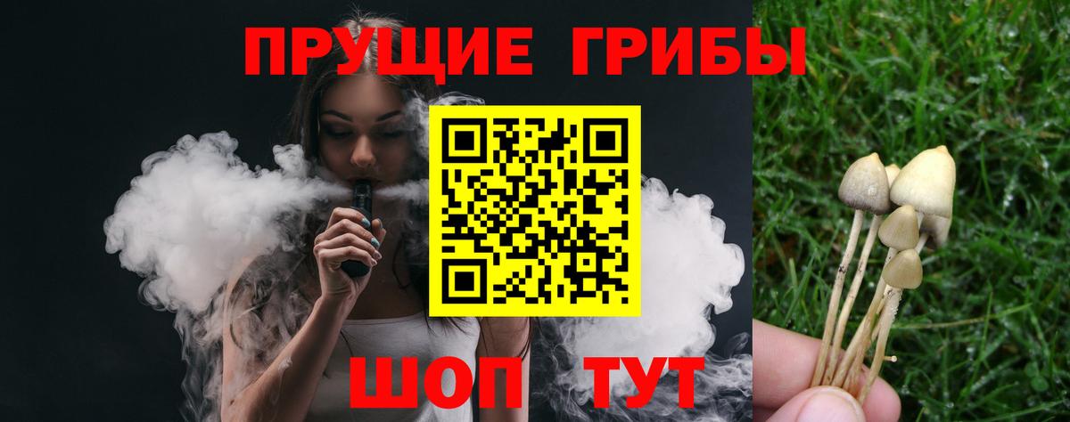 Кольчугино  Галлюциногенные грибы GOLDEN TEACHER  Вход с VPN 
