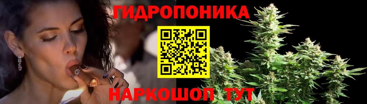 Бошки марихуана Bruce Banner  Бошки Шишки планчик  Вход с VPN  Кольчугино  Бошки Шишки марихуана 